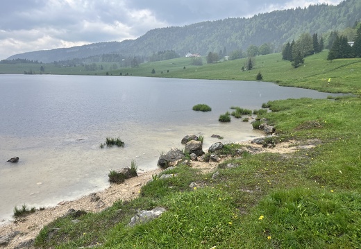 23-05-23 13-00-34 5591